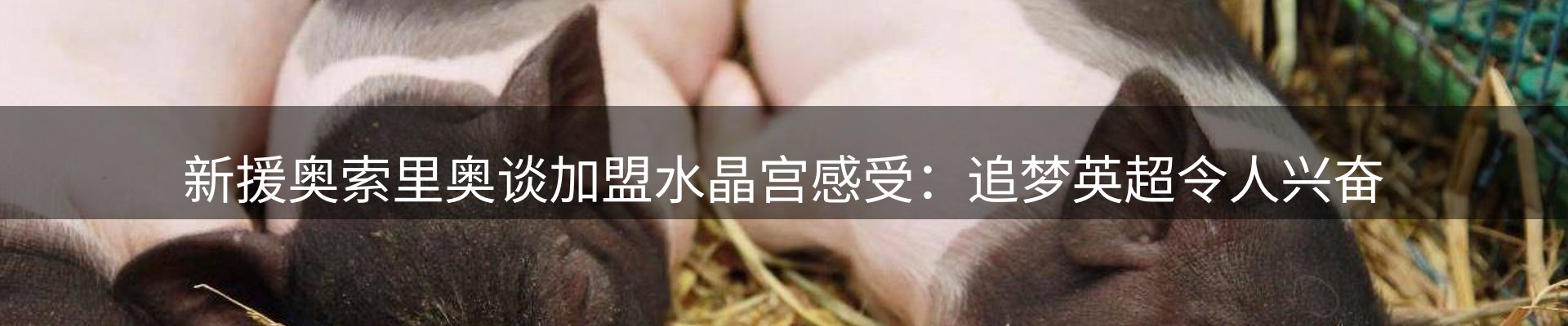 市场消息